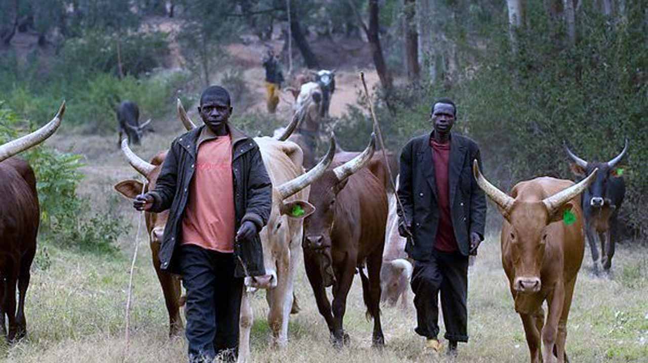 farmers herders